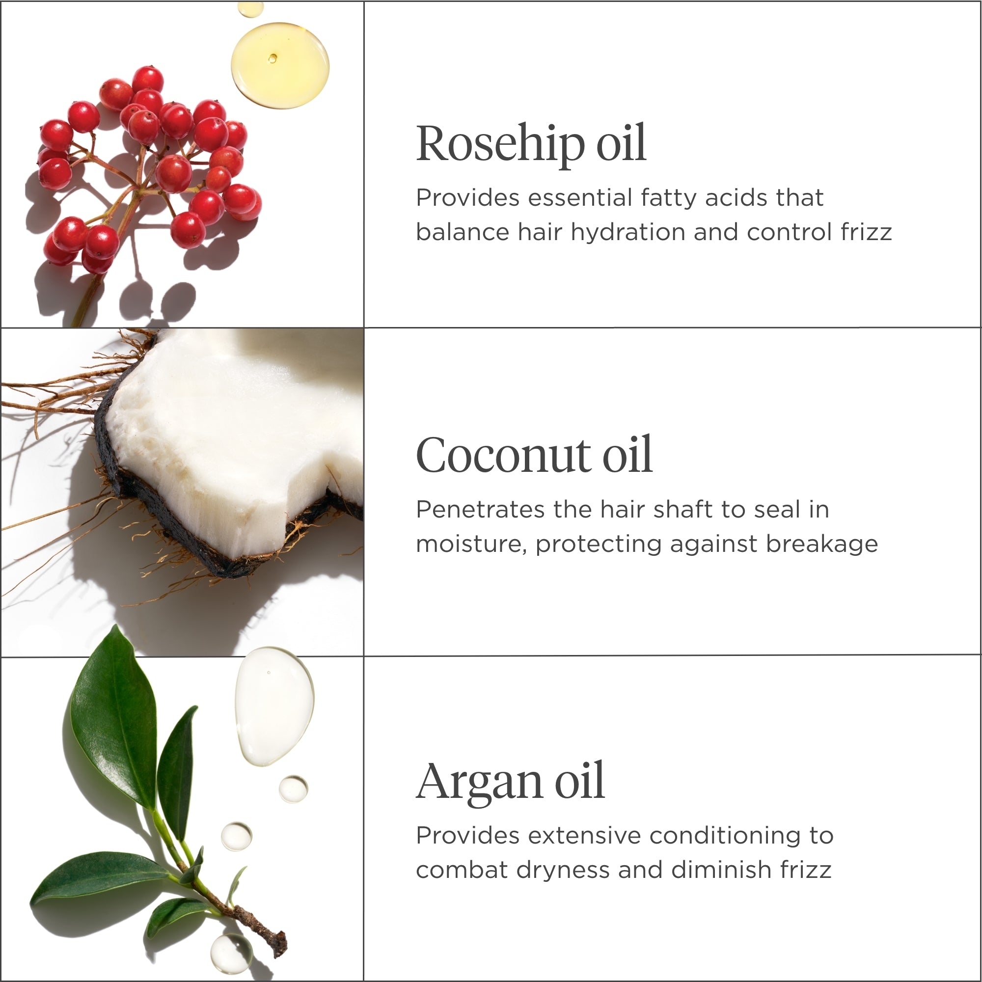 Farewell Frizz Smoothing Conditioner - Briogeo